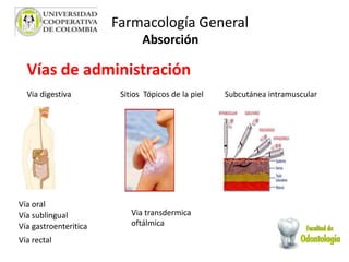 Farmacología General
Absorción
Vías de administración
Via digestiva Subcutánea intramuscularSitios Tópicos de la piel
Via transdermica
oftálmica
Vía oral
Vía sublingual
Vía gastroenteritica
Vía rectal
 