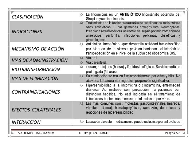 Lincocin Antibiotico Inyectable