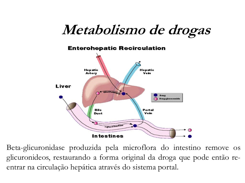 Farmacologia 2 introdução a farmacocinética Farmacologia 2 introdução a farmacocinética