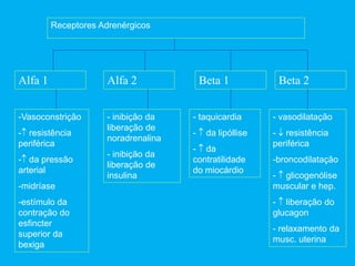 Receptores Adrenérgicos
Beta 2
Alfa 1 Alfa 2 Beta 1
-Vasoconstrição
- resistência
periférica
- da pressão
arterial
-midríase
-estímulo da
contração do
esfincter
superior da
bexiga
- inibição da
liberação de
noradrenalina
- inibição da
liberação de
insulina
- taquicardia
-  da lipóllise
-  da
contratilidade
do miocárdio
- vasodilatação
-  resistência
periférica
-broncodilatação
-  glicogenólise
muscular e hep.
-  liberação do
glucagon
- relaxamento da
musc. uterina
 