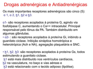 Drogas adrenérgicas e Antiadrenérgicas
Os mais importantes receptores adrenérgicos são cinco (5):
α 1, α 2, ɮ1, ɮ2 e ɮ3.
α1- são receptores acoplados à proteína G, agindo via
fosfolipase C, aumentando o Ca++ intracelular. Principal
responsável pelo tônus da PA. Também distribuído em
algumas glândulas.
• α2- : são receptores acoplados à proteína Gi, inibindo a
guanilato ciclase. Inibição sináptica homotrópica e
heterotrópica (Ach e NA), agregação plaquetária e SNC.
• ɮ1, ɮ2, ɮ3: são receptores acoplados à proteína Gs, todos
estimulando a guanilato ciclase.
ɮ1 está mais distribuído nos ventrículos cardíacos,
ɮ2 na vasculatura, no baço e vias aéreas e
ɮ3 está relacionado com o tecido adiposo (lipólise).
 