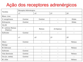 Tecidos
Receptor Adrenérgico
1 2 1 2
Musc. Liso
V. sangüíneos Contrai Contrai - Dilata
Brônquios Contrai - - Dilata
Via GI
Ñ - esfícter Relaxa
(hiperp.)
- Relaxa (ñ-hiperp.) -
Esfíncter Contrai - - -
1 2 1 2
Útero Contrai - - Relaxa
Bexiga
M. Detrusor - - - Relaxa
Esfincter Contrai - - -
Vias Seminais Contrai - - Relaxa
Íris (m. radial) Contrai - - -
M. ciliar - - - Relaxa
Ação dos receptores adrenérgicos
 