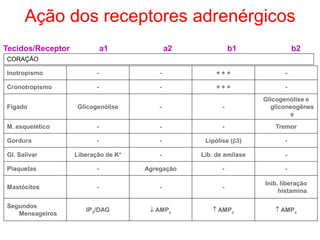 Inotropismo - - + + + -
Cronotropismo - - + + + -
Fígado Glicogenólise - -
Glicogenólise e
gliconeogênes
e
M. esquelético - - - Tremor
Gordura - - Lipólise (3) -
Gl. Salivar Liberação de K+ - Lib. de amilase -
Plaquetas - Agregação - -
Mastócitos - - -
Inib. liberação
histamina
Segundos
Mensageiros
IP3/DAG  AMPc  AMPc  AMPc
CORAÇÃO
Ação dos receptores adrenérgicos
Tecidos/Receptor a1 a2 b1 b2
 