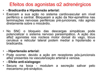 Efeitos dos agonistas α2 adrenérgicos
• - Bradicardia e Hipotensão arterial:
• Exercem a sua ação no sistema cardiovascular em nível
periférico e central. Bloqueiam a ação da Nor-epinefrina nas
terminações nervosas periféricas pré-juncionais, não agindo
diretamente sobre o miocárdio.
• No SNC o bloqueio das descargas simpáticas pode
potencializar o sistema nervoso parasimpático. A ação dos
alfa2 agonistas nos núcleos motor dorsal do vago, lócus
ceruleus e reticular lateral podem mediar a hipotensão e
bradicardia.
• - Hipertensão arterial:
• Pode ocorrer, devido a ação em receptores pós-juncionais
alfa2 presentes na vascularização arterial e venosa.
• - Efeito anti-sialogogo:
• Secura na boca - modulam a secreção salivar pelo
mecanismo pré-sináptico.
 