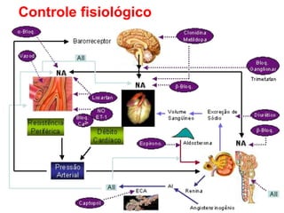 Controle fisiológico
 