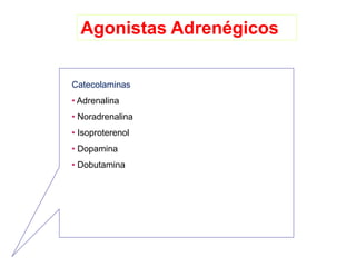 Agonistas Adrenégicos
Catecolaminas
• Adrenalina
• Noradrenalina
• Isoproterenol
• Dopamina
• Dobutamina
 
