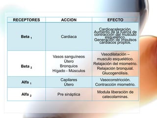 RECEPTORES       ACCION                  EFECTO

                                   Cardioaceleración.
                                 Aumento de la fuerza de
                                 contracción del musculo
  Beta 1         Cardiaca              esquelético.
                                 Generación de impulsos
                                   cardiacos propios.


                                     Vasodilatación –
             Vasos sanguíneos
                                  musculo esquelético.
                   Útero
                                 Relajación del miometrio.
  Beta 2         Bronquios
                                  Relajación bronquial.
             Hígado - Músculos
                                      Glucogenólisis.
                 Capilares          Vasoconstricción.
   Alfa 1
                  Útero           Contracción miometrio.
                                   Modula liberación de
   Alfa 2      Pre sináptica
                                     catecolaminas.
 