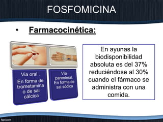 FOSFOMICINA
• Farmacocinética:
En ayunas la
biodisponibilidad
absoluta es del 37%
reduciéndose al 30%
cuando el fármaco se
administra con una
comida.
 