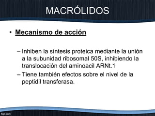 MACRÓLIDOS
• Mecanismo de acción
– Inhiben la síntesis proteica mediante la unión
a la subunidad ribosomal 50S, inhibiendo la
translocación del aminoacil ARNt.1
– Tiene también efectos sobre el nivel de la
peptidil transferasa.
 