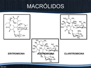 MACRÓLIDOS
ERITROMICINA AZITROMICINA CLARITROMICINA
 