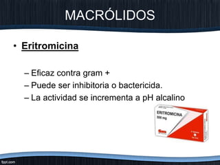 MACRÓLIDOS
• Eritromicina
– Eficaz contra gram +
– Puede ser inhibitoria o bactericida.
– La actividad se incrementa a pH alcalino
 