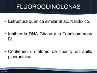 • Estructura química similar al ac. Nalidíxico.
• Inhiben la DNA Girasa y la Topoisomerasa
IV.
• Contienen un átomo de fluor y un anillo
piperacínico.
FLUOROQUINOLONAS
 