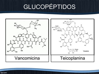 GLUCOPÉPTIDOS
TeicoplaninaVancomicina
 