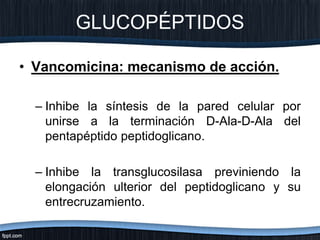 GLUCOPÉPTIDOS
• Vancomicina: mecanismo de acción.
– Inhibe la síntesis de la pared celular por
unirse a la terminación D-Ala-D-Ala del
pentapéptido peptidoglicano.
– Inhibe la transglucosilasa previniendo la
elongación ulterior del peptidoglicano y su
entrecruzamiento.
 