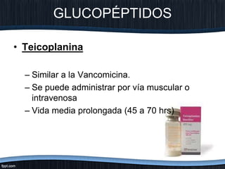 GLUCOPÉPTIDOS
• Teicoplanina
– Similar a la Vancomicina.
– Se puede administrar por vía muscular o
intravenosa
– Vida media prolongada (45 a 70 hrs)
 