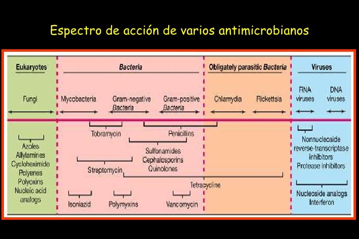 Farmacologia atb