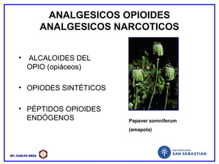 QF. CARLOS MEZA
ANALGESICOS OPIOIDES
ANALGESICOS NARCOTICOS
• ALCALOIDES DEL
OPIO (opiáceos)
• OPIODES SINTÉTICOS
• PÉPTIDOS OPIOIDES
ENDÓGENOS Papaver somniferum
(amapola)
 