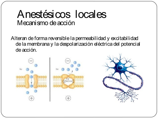 Farmacologia de anestesicos locales