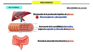 FARMACOLOGIA DE HIPOGLUCEMIANTES ORALES.pptx