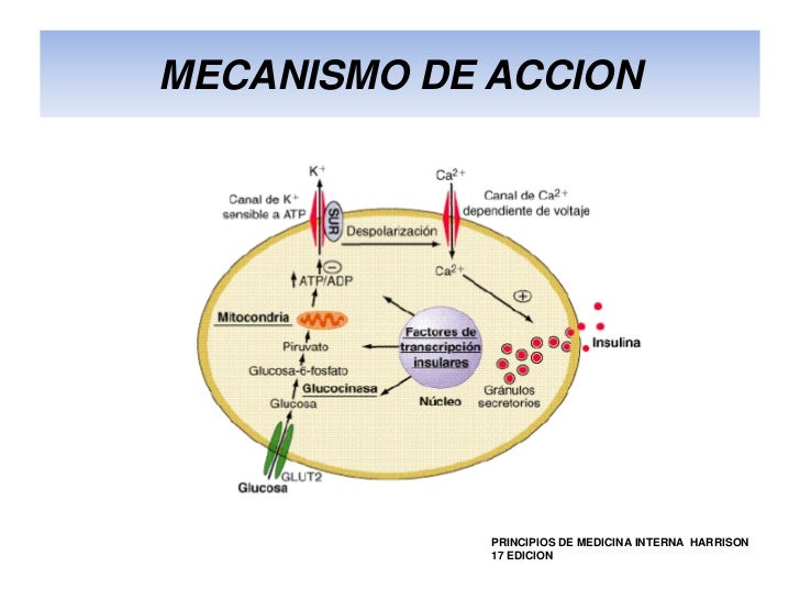 Farmacologia de insulinas (2) copia Farmacologia de insulinas (2) copia