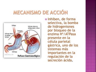  Inhiben, de forma
selectiva, la bomba
de hidrogeniones
por bloqueo de la
enzima H*/ATPasa
presente en la
célula parietal
gástrica, uno de los
sistemas más
importantes en la
regulación de la
secreción ácida.
 
