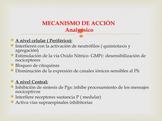 A nivel celular ( Periférico):
Interfieren con la activación de neutrófilos ( quimiotaxis y
agregación)
Estimulación de la vía Oxido Nitrico- GMPc: desensibilización de
nociceptores
Bloqueo de citoquinas
Disminución de la expresión de canales iónicos sensibles al Ph
A nivel Central:
Inhibición de sintesis de Pgs: inhibe procesamiento de los mensajes
nociceptivos
Interfiere receptores sustancia P ( medular)
Activa vías supraespinales inhibitorias
MECANISMO DE ACCIÓN
Analgésico
 