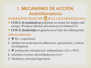 INHIBICIÓN SELECTIVA DE LA CICLOOXIGENASA
COX-1: (Constitutiva) presente en todos los tejidos del
cuerpo. Produce efectos adversos en el sistema GI.
COX-2: (Inducida) se genera en el sitio de inflamación.
Adicionalmente:
  RL y superóxido
2. Inhiben las moléculas de adherencia, quimiotáxis y síntesis
de citoquinas.
  producción citocinas pro- inflamatorias ( IL1 y FNT)
4. Interfiere eventos cell mediados por Ca++
5. Modifican actividad fagocitaria
1. MECANISMO DE ACCIÓN.
Antiinflamatorio
 