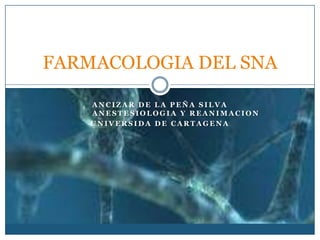 ANCIZAR DE LA PEÑA SILVA	ANESTESIOLOGIA Y REANIMACION UNIVERSIDA DE CARTAGENA FARMACOLOGIA DEL SNA 