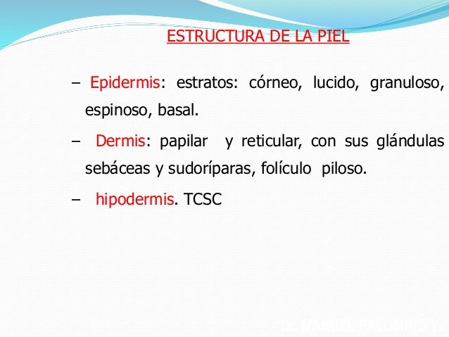 medios de comunicación social córneo piel oscura medios de comunicación social córneo piel oscura
