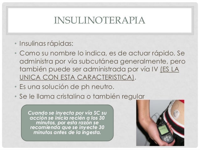 Farmacología diabetes, resistencia a la insulina, diabetes Farmacología diabetes, resistencia a la insulina, diabetes