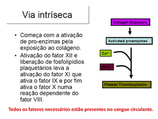 Todos os fatores necessários estão presentes no sangue circulante.
 