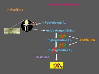 Fármacos antiplaquetários

 Aspirina


                    Fosfolipase A2

                    Ácido Araquidônico
                              COX
                    Prostaglandina G2             ASPIRINA
                              COX
                     Prostaglandina H2

             TX sintase


                          TXA2
 