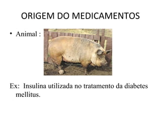 ORIGEM DO MEDICAMENTOS
• Animal :
Ex: Insulina utilizada no tratamento da diabetes
mellitus.
 