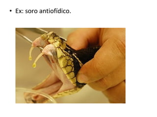 • Ex: soro antiofídico.
 