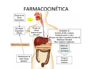 FARMACOCINÉTICA
 