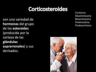 Corticosteroides 
son una variedad de 
hormonas del grupo 
de los esteroides 
(producida por la 
corteza de las 
glándulas 
suprarrenales) y sus 
derivados. 
Cortisona 
Dexametasona 
Betametasona 
Prednisolona 
Fludocortisona 
 