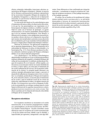 97
efectos colaterales indeseables (reacciones adversas ca-
racterísticas del bloqueo colinérgico). Además, la mayoría
de los fármacos antimuscarínicos producen espesamiento
de las secreciones bronquiales (bloqueo de receptores M3
en glándulas bronquiales) y reducción de la depuración
mucociliar, lo cual favorece la obstrucción bronquial y la
aparición de infecciones.
La renovación del interés en los anticolinérgicos para
el tratamiento del asma se debe a la observación más recien-
te de que las vías parasimpáticas son importantes en el
broncospasmo de algunos asmáticos y también a la posibi-
lidad de contar con el bromuro de ipratropio, un agente
antimuscarínico con mejores propiedades farmacológicas
que la de los restantes anticolinérgicos. Este fármaco, a
diferencia de la atropina y otros antagonistas muscarínicos,
no produce efectos adversos en la depuración mucociliar
(por razones aún inexplicadas) y presenta escasa absorción
por vía inhalatoria, por lo que se produce la broncodilatación
con poco o ningún efecto colateral anticolinérgico sistémico.
Síndrome de Parkinson. Ver aplicaciones terapéuticas
de los agonistas dopaminérgicos. Para el tratamiento de la
enfermedad de Parkinson se utiliza el trihexifenidilo y la
benztropina (Fig. 6.31). Estos fármacos producen los efec-
tos colaterales sistémicos propios del bloqueo colinérgico
debido a la no selectividad del antagonismo.
Usos oftalmológicos. Los fármacos anticolinérgicos
administrados localmente en el ojo se utilizan para producir
midriasis (dilatación de la pupila) y cicloplejía (bloqueo del
reflejo de la acomodación). La midriasis, producida por blo-
queo de receptores M3
en el músculo esfínter pupilar, con
frecuencia se necesita para realizar un examen detallado de
la retina y el disco óptico, así como para el tratamiento de
las uveítis (inflamación de la úvea) y de la queratitis (infla-
mación de la córnea). La atropina puede alternarse con
mióticos (ejemplo pilocarpina) para romper o prevenir el
desarrollo de adherencias (sinequias) entre el iris y el crista-
lino. La cicloplejía, producida por el bloqueo de receptores
M3
en los músculos ciliares, se necesita para el tratamiento
de las uveítis y para la medición exacta de los errores de
refracción, especialmente en niños y en adultos menores de
40 años. Los antagonistas muscarínicos bloquean el refle-
jo de la acomodación con enfoque resultante para la visión
lejana (a diferencia de los agonitas muscarínicos), es decir,
producentrastornos transitorios en la visión cercana. Este
efecto se produce por la relajación del músculo ciliar debido
al bloqueo de los receptores M3
.
Receptores nicotínicos
Los receptores nicotínicos se encuentran en la unión
neuromuscular, en las neuronas posganglionares simpáti-
cas y parasimpáticas y en diversas localizaciones del SNC.
Los estudios farmacológicos iniciales mostraban ciertas
diferencias entre los receptores de la unión neuromuscular
y los de las células nerviosas, debido a que la afinidad y
especificidad por agonistas y antagonistas eran algo dife-
rentes. Estas diferencias se han confirmado por clonación
molecular, y actualmente se acepta la existencia de 2 sub-
tipos de receptores nicotínicos: el Nm (subtipo muscular) y
el Nn (subtipo neuronal).
El subtipo Nm se localiza en la membrana de la placa
motora terminal (unión neuromuscular) y su activación
desencadena el proceso de transmisión neuromuscular
(despolarización de la placa terminal y generación del po-
tencial de acción muscular), que conduce a la contracción
del músculo estriado esquelético (Fig. 6.42).
A C Bloqueadores
neuromusculares
no despola rizantes
( )
pancuronio
Bloqueadores
neuromusculares
despolarizantes
( )
succinilcolina
Receptor
nicot nico (Nm)
Poten cial d e plac a term ina l
POTENC IA L DE A C CI N
L iberaci n de C a
2+ Fibra
muscular
C ON TR AC C I N
N a+
K +
A C
Terminaci n
nerviosa
M em bra na po ssin Æ
ptica
de la placa terminal
A x n m otor
Placa terminal motora Fibra m uscular
Fig. 6.42. Representación simplificada de los eventos desencadena-
dos por la activación del receptor colinérgico nicotínico en la unión
neuromuscular y mecanismo de acción de los fármacos bloqueadores
neuromusculares. La acetilcolina liberada por la terminación nervio-
sa, al activar los receptores nicotínicos Nm
en la membrana
possináptica de la placa terminal, ocasiona la despolarización de
dicha membrana (potencial de placa terminal). Cuando esta
despolarización alcanza un nivel crítico, actúa sobre la membrana
muscular adyacente a la placa motora terminal, lo cual provoca su
despolarización y la aparición de un potencial de acción muscular.
Este potencial se difunde a lo largo de la fibra muscular y hacia su
interior donde ocasiona la liberación de iones de calcio, que a su vez
inician los acontecimientos químicos del proceso contráctil. Los
bloqueadores despolarizantes, al interactuar con los receptores Nm
producen una despolarización persistente que lleva a la inexcitabilidad
de la membrana muscular contigua a la placa motora, y por tanto a un
fracaso de la transmisión neuromuscular. Los bloqueadores no
despolarizantes bloquean de manera competitiva la acción transmi-
sora de la acetilcolina e impiden de este modo la despolarización de la
placa motora terminal.
 
