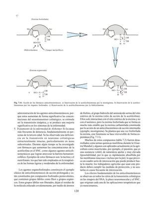 120
administración de los agentes anticolinesterásicos, por-
que estos aumentan de forma significativa las concen-
traciones del neurotransmisor colinérgico, se estimula
así la transmisión sináptica, y se produce una mejoría
significativa en los síntomas de la enfermedad.
5. Tratamiento de la enfermedad de Alzheimer. Es la causa
más frecuente de demencia, fundamentalmente en per-
sonas de la tercera edad. Se ha observado una deficien-
cia en la transmisión en neuronas colinérgicas
estructuralmente intactas, particularmente en áreas
subcorticales. Durante algún tiempo se ha investigado
con fármacos que aumentan las concentraciones de la
acetilcolina en el SNC, como algunos agentes anticoli-
nesterásicos que logran atravezar la barrera hematoen-
cefálica. Ejemplos de estos fármacos son: la tacrina y el
metrifonato, los que han sido empleados en la terapéuti-
ca de las formas ligeras y moderadas de la enfermedad.
Los agentes organofosforados constituyen el ejemplo
clásico de anticolinesterásicos de acción prolongada y es-
tán constituidos por compuestos fosforados pentavalentes,
que contienen grupos lábiles como flúor o grupos orgáni-
cos. Estos grupos lábiles son liberados, dejan el residuo de
la molécula enlazado covalentemente, por medio de átomos
Fig. 7.11. Acción de los fármacos anticolinesterásicos. a) Inactivación de la acetilcolinesterasa por la neostigmina. b) Inactivación de la acetilco-
linesterasa por los órganos fosforados. c) Reactivación de la acetilcolinesterasa por la hidroxilamina.
de fósforo, al grupo hidroxilo del aminoácido serina del sitio
estérico de la enzima (sitio de acción de la acetilcolina).
Ellos solo interactúan con el sitio estérico de la enzima y no
con el aniónico, pero la enzima fosforilada que se forma es
mucho más estable que la enzima carbamilada constituida
por la acción de un anticolinesterásico de acción intermedia
(ejemplo, neostigmina). Se plantea que una vez fosforilada
la enzima, este fenómeno se hace irreversible de forma es-
pontánea (Fig. 7.11).
Muchos de estos compuestos (tabla 7.2) fueron desa-
rrollados como armas químicas mortíferas durante la I Gue-
rra Mundial y algunos son aplicados actualmente en la agri-
cultura como insecticidas, por ejemplo, el paratión, que es
una sustancia volátil, de naturaleza apolar y muy elevada
liposolubilidad, por lo que es rápidamente absorbida por
las membranas mucosas e incluso por la piel, lo que provo-
ca un cuadro serio de intoxicación que puede producir has-
ta la muerte; los trabajadores agrícolas que usan este pro-
ducto deben cumplir las medidas de protección, y no aca-
tarlas es causa frecuente de intoxicación.
Los efectos fundamentales de los anticolinesterásicos
se observan en todos los sitios de la transmisión colinérgica
en las sinapsis del SNA, la placa neuromuscular y el SNC,
que originan cada una de las aplicaciones terapéuticas que
ya mencionamos.
(Enzima fosforilada)
His Ser
(Hidroxilamina)
O
N
HN
P
O
-
-
OR
OR
-
-
HO N
-
H
H
-
-
-
(Ataque nucleofílico)
P
O
OR
OR
-
-
His Ser
O
N
HN -
HO N
- -
H
H
-
-
-
-
P
OR
OR
-
-
(Enzima regenerada)
His Ser
H O
-
N
HN
O
-
-
+ HO N
- -
H
- P
O
-
OR
OR
-
-
His Ser
O
N
HN
-
HO N
- -
H
H
-
-
c)
 