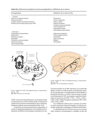 155
Tabla 10.2.Aplicaciones terapéuticas de las prostaglandinas e inhibidores de su síntesis
Prostaglandinas Inhibidores de la síntesis de Pg
Actuales:
Aborto en el segundo trimestre Dismenorrea
Inducción del parto Artritis reumatoidea
Conducto arterioso permeable (mantener) Fiebre y cefalea
Profilaxis de las lesiones gástricas por AINE Síndrome de Bartter
Conducto arterioso permeable
Asma bronquial (LT)
Enfermedad coronaria
Enfermedad vascular cerebral
Potenciales:
Enfermedad vascular periférica Inflamación periodontal
Hipertensión Cólera y algunas diarreas
Insuficiencia cardíaca Quemaduras
Infertilidad Lupus eritematoso
Trombosis coronaria profunda Migraña
Hiperacidez gástrica Preeclampsia
Asma bronquial (PgE)
Fuente: Stepthen M. Stahl. Psychopharmacology of antipsychotics.
Zeneca, 1999.
Fig. 10.4. Síntesis de la serotonina.
el SNC existe como neurotransmisor y se encuentra en altas
concentraciones en el tallo cerebral, donde se localizan los
cuerpos de las neuronas serotoninérgicas que la sintetizan,
almacenan y liberan como neurotransmisor (Fig. 10.5).
En periferia, la serotonina participa en la peristalsis, el
vómito, la agregación plaquetaria; es un mediador de la in-
flamación, sensibiliza los nociceptores y participa en el con-
Fuente: Stepthen M. Stahl. Psychopharmacology of antipsychotics.
Zeneca, 1999.
Fig. 10.5. Vías serotoninérgicas cerebrales.
trol microvascular. En el SNC interviene en el control del
apetito, el sueño, el estado de ánimo, la temperatura corpo-
ral, las alucinaciones, el comportamiento estereotipado, la
percepción del dolor y el vómito. Estas acciones se produ-
cen al interactuar la 5-HT con receptores específicos locali-
zados en estructuras del SNC: 5-HT1A
, 5-HT1B
, 5-HT1D
,
5-HT2
y5-HT3
.Existen4 receptores más para la 5-HT: 5-HT4
,
5-HT5
,5-HT6
y 5-HT7
.
Las condiciones clínicas que se asocian con trastor-
nos de la serotonina incluyen la migraña, el síndrome car-
cinoide, la depresión, la ansiedad y el síndromeserotonínico.
La administración de 5-HT provoca, por sus acciones
sobre receptores serotoninérgicos a múltiples niveles del
Tra nsportador
de tript fano
S ntesis de
serotonin a
A m in oÆ
c idos
aro m Æ
ticos
desca rboxilasa
Tript fano-O H
5 O H tript fano
Tript fano
5-H T (serotonina)
R AFE
H ipocam po
G anglios
basales
C orte za
frontal
a
b
c
d
e
 