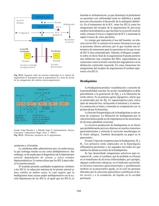 160
saralasina y el losartán.
La saralasina debe administrarse por vía endovenosa,
lo que restringe mucho su uso como antihipertensivo. Sin
embargo, se ha usado para el diagnóstico de la hipertensión
arterial dependiente de renina y otros estados
hiperreninémicos. Es menos eficaz que los IECA para redu-
cir la tensión arterial.
El losartán presenta cualidades terapéuticas similares
a los IECA: la reducción máxima de la tensión arterial es
muy similar en ambos casos, lo cual sugiere que la
bradiquinina tiene escaso poder antihipertensivo en la ac-
ción hipotensora de los IECA; al igual que los IECA, el
An giotensin geno
An giotensina I
An giotensina II
R enina
IE C A
(-)
B radiq uinina
M etabolitos
no activos
E C A
(quinasa II)
No E C A
Qu inasa
C atepsina G
LosartÆ
n
Sarala sina Sarala sina
A T 1 A T2
R eceptor R eceptor
Ac ciones co noc idas
de angio tensina II
Ac ciones
descon ocidas
A ngioten sina I
A NG II - AN G III
A NG (1-7) AN G IV (3-8)
AT 1A AT 1C
AT 1B
Tirosino
fosfata sa
G M P ? G M P ? ?
. Vasodilataci n
. Natriuresis
. Otros efectos
antag nicos AT 1
. Vasoconstricci n
. S ntesis de aldosterona
. Efectos noradrenØrgicos
. Hipertrofia vascular
. Efectos centrales
AT (1-7) AT 1 AT 2 AT ? AT 4
Fig. 10.11. Esquema sobre las enzimas implicadas en la síntesis de
angiotensina II. Receptores para la angiotensina II y sitios de acción
de los antagonistas del sistema renina-angiotensina.
Fuente: Esper Ricardo J. y Velariño Jorge O. Arteriosclerosis. Nuevos
Conceptos. Laboratorios Bagó. Serie 1, 2000:5.
Fig. 10.12. Diferentes receptores de la angiotensina.
losartán es nefroprotector, ya que disminuye la proteinuria
en pacientes con enfermedad renal no diabética y puede
prevenir eficazmente el desarrollo de la nefropatía diabéti-
ca. En el tratamiento de la ICC, tanto los IECA como los
antagonistas del receptor de la angiotensina II, provocan
cambios hemodinámicos que facilitan la excreción renal de
sodio, retrasan el inicio o reaparición de ICC y aumentan la
supervivencia de estos pacientes.
La ventaja que representa el uso del losartán en rela-
ción con los IECA consiste en la menor frecuencia con que
se presentan efectos adversos, por lo que resultan una al-
ternativa de tratamiento para los pacientes en los que el uso
de IECA está contraindicado. Además, el bloqueo comple-
to sobre el efecto final de la angiotensina II puede permitir
una inhibición más completa del SRA, especialmente en
situaciones como la lesión vascular por angioplastia o en la
disfunción ventricular izquierda. En estas situaciones los
antagonistas del receptor de angiotensina II resultan supe-
riores a los IECA.
Bradiquinina
La bradiquinina produce vasodilatación y aumento de
la permeabilidad vascular. Su acción vasodilatadora se debe
parcialmente a la generación de PgI2
y a la liberación de
óxido nítrico. Es un potente agente algogénico, efecto que
es potenciado por las Pg. Es espasmogénica para varios
tipos de músculo liso, incluyendo el intestinal y el uterino.
La contracción es lenta y sostenida en comparación con la
producida por la histamina.
La función fisiopatológica de la bradiquinina es aún un
tema de conjetura. La liberación de bradiquinina por la
calicreína hística puede ser de importancia en las secreciones
de diversas glándulas exocrinas.
La excesiva producción de bradiquinina es un factor
que probablemente provoca diarreas en muchos trastornos
gastrointestinales y estimula la secreción nasofaríngea en
la rinitis alérgica. También desempeña un papel en la
pancreatitis.
Existen 2 tipos de receptores para la bradiquinina: B1
y
B2
. Los primeros están implicados en la hiperalgesia
inflamatoria persistente y los segundos son todos los que
median las demás acciones de la bradiquinina.
Se han desarrollado antagonistas selectivos para re-
ceptores B2
, como el icatibant, que ha probado su eficacia
en el tratamiento de diversas enfermedades, por ejemplo,
algunas condiciones alérgicas, en el síndrome carcinoide,
en diversos trastornos gastrointestinales y posiblemente
también en la pancreatitis aguda, en la cual las quininas
liberadas por la calicreína pancreática contribuyen al do-
lor severo y a la exudación de líquido en la cavidad
peritoneal.
 