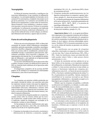 161
Neuropéptidos
Se liberan de neuronas sensoriales y contribuyen a las
reacciones inflamatorias, lo que constituye la inflamación
neurogénica. Los principales péptidos involucrados son la
sustancia P, la neurotensina y el péptido relacionado con el
gen de la calcitonina. Los 2 primeros son miembros de la
familia de las taquiquininas y actúan sobre los mastocitos,
liberan histamina y otros mediadores y producen contrac-
ción muscular y secreción mucosa. El tercero es un potente
vasodilatador. La inflamación neurogénica está implicada
en la génesis de diversas condiciones inflamatorias, e in-
cluye la fase tardía del asma, la rinitis alérgica, la enferme-
dad inflamatoria del intestino y algunos tipos de artritis.
Factor de activación plaquetaria
Elfactor de activación plaquetaria (PAF) seliberaindi-
rectamente de muchas células inflamatorias estimuladas:
neutrófilos, partículas opsonizadas, eosinófilos, macrófagos,
mastocitos, basófilos y plaquetas estimuladas con trombina.
Entre sus acciones están la vasodilatación; aumenta la per-
meabilidad vascular; es quimiotáctico para leucocitos, espe-
cialmente eosinófilos; activa leucocitos y plaquetas, y es
espasmogénico del músculo liso. Es un mediador de muchos
tipos de inflamación y está implicado en la hiperreactividad
bronquial y en la fase tardía del asma.
Las acciones antiinflamatorias de los glucocorticoides
se deben, al menos en parte a la inhibición de la síntesis de
PAF en virtud del efecto inhibitorio de la lipocortina sobre
la fosfolipasa 2.
El antagonismo competitivo de las acciones del PAF
pudiera ser de utilidad en el tratamiento de enfermedades
inflamatorias, entre ellasel asma bronquial.
Citoquinas
Las citoquinas son proteínas solubles producidas por
una amplia variedad de células; son esenciales tanto para
las respuestas inmunes innatas como para las adaptativas,
y su expresión puede estar alterada en la mayoría de las
enfermedades infecciosas, inflamatorias e inmunes. Ellas
están involucradas en la regulación del crecimiento, desa-
rrollo y activación de las células del sistema inmune y me-
dian la respuesta inflamatoria.
Las acciones de las citoquinas pueden ser: a) autocrina,
cuando actúan sobre las mismas células que las secre-
tan; b) paracrina, cuando actúan sobre células vecinas, y
c) endocrina, cuando las citoquinas son secretadas en la
circulación y actúan en sitios distantes.
Se han propuesto diversas clasificaciones para agru-
parlas según sus funciones, entre ellas, una clasificación
empírica las divide en los siguientes grupos:
1. Citoquinas involucradas en la activación, crecimiento y
diferenciación de linfocitos y monocitos, ejemplo:
interleukina 2 (IL2
), IL4
, IL10
, interferones (INF) y factor
de crecimiento nervioso.
2. Citoquinas producidas predominantemente por los
fagocitos mononucleares en respuesta a agentes infec-
ciosos, ejemplo: IL1
, factor de necrosis tumoral (TNF) e
IL6
y la familia quimioquinas de citoquinas inflamatorias
en la cual se incluyen la IL8
, la proteína quimiotáctica de
monocitos: MCP1
, MCP2
, MCP3
y la proteína de
macrófagos inflamatorios: MIP1
.
3. Citoquinas que regulan el crecimiento y diferenciación
de leucocitos inmaduros, ejemplo: IL3
e IL7
.
Importancia clínica. La IL1
es un agente proinflama-
torio importante en las respuestas sistémicas de la inflama-
ción (ejemplo, la fiebre). Está implicada en la patogénesis
de la artritis reumatoidea, la enfermedad inflamatoria del in-
testino, el shock séptico y diversas enfermedades autoin-
munes. También el TNF se encuentra aumentado en el sue-
ro y en las células del intestino en pacientes con enferme-
dad de Crohn.
Los interferones son un grupo de citoquinas
inducibles sintetizados en respuesta a estímulos virales
y de otro tipo. Hay 3 clases de interferones: INFα
, INFβ
e
INFγ
. Todos los interferones tienen actividad antiviral,
todos pueden inducir fiebre y todos poseen efectos
antitumorales in vitro.
El factor de crecimiento nervioso además de ser un
factor trófico en las neuronas, es un importante mediador
de la inflamación; es sintetizado y liberado por los mastocitos
y células T y tiene acciones autocrinas en estas células; su
síntesis es fuertemente inducida por citoquinas pro-
inflamatorias como la IL1
y el factor de necrosis tumoral α
(TNFα
). Este factor estimula la proliferación de células T y
B y es quimiotáctico de neutrófilos. Además, mantiene la
sensibilidad de las neuronas nociceptivas que liberan
neuropéptidos inflamatorios y desempeña un papel en la
hiperalgesia que acompaña a la inflamación.
Debido a que las citoquinas son péptidos, se dificulta
su utilización en la terapéutica, no obstante, se están explo-
rando diversas posibilidades para su empleo.
Usos clínicos. Los interferones se han usado en la te-
rapia del cáncer y en el tratamiento de las infecciones virales.
El INFγ
está siendo probado para el tratamiento de la hepa-
titis, la leishmaniasis y la lepra lepromatosa, donde también
se ha empleado la IL2
. El INFβ
se está probando en el tra-
tamientodelaremitencia-recurrenciadelaesclerosismúltiple.
Los anticuerpos contra una porción del receptor para
la IL2
son perspectivas prometedoras en la terapéutica de
leucemias y linfomas que se expresan a través de este
receptor.
Un antagonista para el receptor de la IL1
se está eva-
luando en el tratamiento de condiciones, en las cuales la
IL1
está implicada en el daño hístico. Los inhibidores de la
 