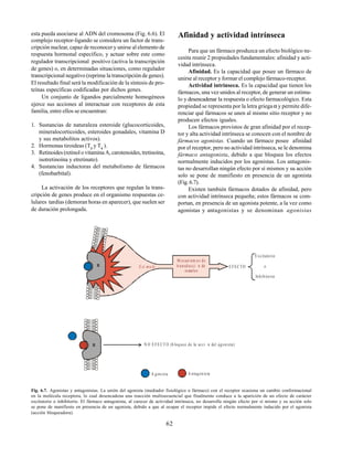 62
esta pueda asociarse al ADN del cromosoma (Fig. 6.6). El
complejo receptor-ligando se considera un factor de trans-
cripción nuclear, capaz de reconocer y unirse al elemento de
respuesta hormonal específico, y actuar sobre este como
regulador transcripcional positivo (activa la transcripción
de genes) o, en determinadas situaciones, como regulador
transcripcional negativo (reprime la transcripción de genes).
El resultado final será la modificación de la síntesis de pro-
teínas específicas codificadas por dichos genes.
Un conjunto de ligandos parcialmente homogéneos
ejerce sus acciones al interactuar con receptores de esta
familia, entre ellos se encuentran:
1. Sustancias de naturaleza esteroide (glucocorticoides,
mineralocorticoides, esteroides gonadales, vitamina D
y sus metabolitos activos).
2. Hormonas tiroideas (T3
y T4
).
3. Retinoides (retinol o vitamina A, carotenoides, tretinoína,
isotretinoína y etretinato).
4. Sustancias inductoras del metabolismo de fármacos
(fenobarbital).
La activación de los receptores que regulan la trans-
cripción de genes produce en el organismo respuestas ce-
lulares tardías (demoran horas en aparecer), que suelen ser
de duración prolongada.
Afinidad y actividad intrínseca
Para que un fármaco produzca un efecto biológico ne-
cesita reunir 2 propiedades fundamentales: afinidad y acti-
vidad intrínseca.
Afinidad. Es la capacidad que posee un fármaco de
unirse al receptor y formar el complejo fármaco-receptor.
Actividad intrínseca. Es la capacidad que tienen los
fármacos, una vez unidos al receptor, de generar un estímu-
lo y desencadenar la respuesta o efecto farmacológico. Esta
propiedad se representa por la letra griegaα y permite dife-
renciar qué fármacos se unen al mismo sitio receptor y no
producen efectos iguales.
Los fármacos provistos de gran afinidad por el recep-
tor y alta actividad intrínseca se conocen con el nombre de
fármacos agonistas. Cuando un fármaco posee afinidad
por el receptor, pero no actividad intrínseca, se le denomina
fármaco antagonista, debido a que bloquea los efectos
normalmente inducidos por los agonistas. Los antagonis-
tas no desarrollan ningún efecto por sí mismos y su acción
solo se pone de manifiesto en presencia de un agonista
(Fig.6.7).
Existen también fármacos dotados de afinidad, pero
con actividad intrínseca pequeña; estos fármacos se com-
portan, en presencia de un agonista potente, a la vez como
agonistas y antagonistas y se denominan agonistas
E FEC TO
E xcitatorio
o
Inhibitorio
E st mu lo
N O E FE CT O (b loqueo de la acci n del agonista)
A gonista A ntagonista
M ecan ism os de
transducci n de
seæales
R
R
Fig. 6.7. Agonistas y antagonistas. La unión del agonista (mediador fisiológico o fármaco) con el receptor ocasiona un cambio conformacional
en la molécula receptora, lo cual desencadena una reacción multisecuencial que finalmente conduce a la aparición de un efecto de carácter
excitatorio o inhibitorio. El fármaco antagonista, al carecer de actividad intrínseca, no desarrolla ningún efecto por sí mismo y su acción solo
se pone de manifiesto en presencia de un agonista, debido a que al ocupar el receptor impide el efecto normalmente inducido por el agonista
(acción bloqueadora).
 