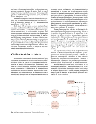 63
parciales. Algunos autores también los denominan anta-
gonistas parciales o fármacos de acción dual, ya que al
ocupar el receptor impiden la acción del fármaco capaz de
generar el efecto farmacológico máximo, o sea, impiden la
acción del agonista total.
En términos simples, la actividad intrínseca de unago-
nista total o completo puede considerarse igual a 1 (α =1),
la de un antagonista igual a 0 (α = 0) y la de un agonista
parcial entre 0 y 1 (0 < α < 1).
En la figura 6.8 se resumen los pasos que tienen lugar
desde que se administra un fármaco al organismo hasta que
aparece el efecto final. La concentración del fármaco que,
en un momento dado, se alcanza en los receptores, está
condicionada por su absorción, distribución, metabolismo
y excreción. Dependiendo de la concentración, de la afini-
dad del fármaco por su receptor y de su actividad intrínse-
ca, se origina el estímulo que desencadena los mecanismos
de transducción de señales, los que conducen finalmente a
la aparición del efecto farmacológico. En el organismo, la
intensidad y calidad de las respuestas a los fármacos pue-
den verse afectadas por la puesta en marcha de mecanis-
mos reflejos de ajuste homeostático.
Clasificación de los receptores
El estudio de los receptores mediante diferentes tipos
de técnicas y métodos de investigación (método farma-
cológico, técnica de fijación de radioligandos marcados,
técnicas de producción de anticuerpos monoclonales, téc-
nicas de clonado molecular, entre otras) ha permitido no
solo la identificación y caracterización de grupos distintos
de receptores, también de subtipos dentro de cada grupo.
La reciente aplicación de técnicas de clonado molecular al
análisis de la multiplicidad de receptores ha contribuido a
A DM INISTR AC I N
D EL F` RM AC O
C oncentraci n en el
sitio de acci n (rece ptor) C om plejo
fÆ
rm ac o
rec eptor
E st mu lo
M eca nism os
reg uladore s
EFEC TO
M eca nism os
de transducc i n
de se æa les
Ab sorci n
Distribu ci n
M etabolism o
E xcreci n
Interac ci n
con otros
rec eptore s
Fig. 6.8. Factores que condicionan el efecto de los fármacos.
descubrir nuevos subtipos muy relacionados en aquellos
casos donde se pensaba que existía una sola especie
(tabla 6.2). Se estudia intensamente la posible aplicación de
este conocimiento en la terapéutica; sin embargo, la identi-
ficación de innumerables subtipos de receptores por medio
de clonación molecular también plantea dudas sobre la im-
portancia de estos, en particular, cuando son prácticamente
idénticos en sus mecanismos de transducción de señales.
La tabla 6.2 muestra una clasificación general de los princi-
pales tipos y subtipos de receptores.
Desde el punto de vista práctico, la clasificación de
receptores farmacológicos constituye una base útil para
resumir los efectos de los fármacos. Si se clasifican los re-
ceptores y se definen los efectos farmacológicos que estos
median en los diferentes tejidos, afirmar que un fármaco
activa un tipo específico de receptor equivale a resumir su
espectro de acciones y los agentes que lo antagonizan. De
manera similar, la afirmación de que un medicamento blo-
quea un tipo particular de receptor, especifica también los
agentes que lo antagonizarán y los sitios precisos de
acción.
Los esquemas de clasificación de receptores facilitan
también la obtención de innumerables agonistas y anta-
gonistas con mayor selectividad por tipos y subtipos es-
pecíficos de receptores. La síntesis de estos fármacos
(agonistas y antagonistas selectivos) ofrece a médicos y
estomatólogos, compuestos que poseen proporciones ma-
yores de efectos terapéuticos que de efectos indeseables.
Resulta oportuno destacar que la "selectividad" de los
denominados agonistas y antagonistas específicos es de-
mostrable, casi siempre, con concentraciones relativamen-
te bajas del fármaco; pero a medida que estas aumentan, la
especificidad de la acción se va perdiendo debido a la acti-
vación de otros receptores.
 