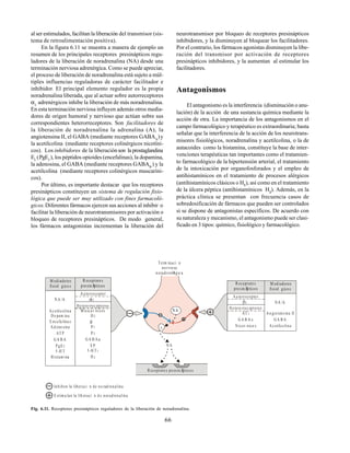 66
al ser estimulados, facilitan la liberación del transmisor (sis-
tema de retroalimentación positiva).
En la figura 6.11 se muestra a manera de ejemplo un
resumen de los principales receptores presinápticos regu-
ladores de la liberación de noradrenalina (NA) desde una
terminación nerviosa adrenérgica. Como se puede apreciar,
el proceso de liberación de noradrenalina está sujeto a múl-
tiples influencias reguladoras de carácter facilitador e
inhibidor. El principal elemento regulador es la propia
noradrenalina liberada, que al actuar sobre autorreceptores
α2
adrenérgicos inhibe la liberación de más noradrenalina.
En esta terminación nerviosa influyen además otros media-
dores de origen humoral y nervioso que actúan sobre sus
correspondientes heterorreceptores. Son facilitadores de
la liberación de noradrenalina la adrenalina (A), la
angiotensina II, el GABA (mediante receptores GABAA
)y
la acetilcolina (mediante receptores colinérgicos nicotíni-
cos). Los inhibidores de la liberaciónson la prostaglandina
E2
(PgE2
), los péptidos opioides (encefalinas), la dopamina,
la adenosina, el GABA (mediante receptores GABAB
) y la
acetilcolina (mediante receptores colinérgicos muscaríni-
cos).
Por último, es importante destacar que los receptores
presinápticos constituyen un sistema de regulación fisio-
lógica que puede ser muy utilizado con fines farmacoló-
gicos.Diferentes fármacos ejercen sus acciones al inhibir o
facilitar la liberación de neurotransmisores por activación o
bloqueo de receptores presinápticos. De modo general,
los fármacos antagonistas incrementan la liberación del
Term inaci n
nerviosa
noradrenØrgic a
NA
NA
M ediadores
fisiol gico s
R eceptore s
pre sinÆ
pticos
NA /A
He tero rrec eptores
AT
GA B A
Nicot nico s
1
A
Au torreceptor
2
M ediadores
fisiol gico s
R eceptore s
pre sinÆ
pticos
NA /A
He tero rrec eptores
M usca r nicos
D
P
P
GA B A
E P
5-H T
H
2
1
2
B
1
2
Au torreceptor
2
Histam ina
5-H T
PgE2
GA B A
AT P
Ad eno sina
E ncefa lina s
Do pam ina
Ac etilcolina
Ac etilcolina
GA B A
An giotensina II
R eceptore s possinÆ
pticos
Inhiben la liberaci n de no rad renalina
E stim u lan la lib eraci n d e noradrenalina
neurotransmisor por bloqueo de receptores presinápticos
inhibidores, y la disminuyen al bloquear los facilitadores.
Por el contrario, los fármacos agonistas disminuyen la libe-
ración del transmisor por activación de receptores
presinápticos inhibidores, y la aumentan al estimular los
facilitadores.
Antagonismos
El antagonismo es la interferencia (disminución o anu-
lación) de la acción de una sustancia química mediante la
acción de otra. La importancia de los antagonismos en el
campo farmacológico y terapéutico es extraordinaria; basta
señalar que la interferencia de la acción de los neurotrans-
misores fisiológicos, noradrenalina y acetilcolina, o la de
autacoides como la histamina, constituye la base de inter-
venciones terapéuticas tan importantes como el tratamien-
to farmacológico de la hipertensión arterial, el tratamiento
de la intoxicación por organofosforados y el empleo de
antihistamínicos en el tratamiento de procesos alérgicos
(antihistamínicos clásicos o H1
), así como en el tratamiento
de la úlcera péptica (antihistamínicos H2
). Además, en la
práctica clínica se presentan con frecuencia casos de
sobredosificación de fármacos que pueden ser controlados
si se dispone de antagonistas específicos. De acuerdo con
su naturaleza y mecanismo, el antagonismo puede ser clasi-
ficado en 3 tipos: químico, fisiológico y farmacológico.
Fig. 6.11. Receptores presinápticos reguladores de la liberación de noradrenalina.
 