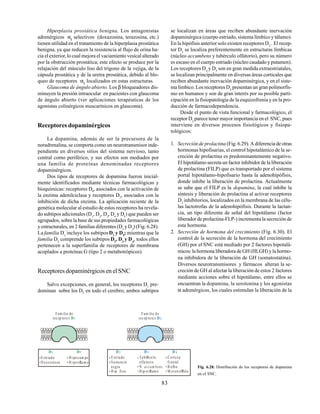 83
Hiperplasia prostática benigna. Los antagonistas
adrenérgicos α1
selectivos (doxazosina, terazosina, etc.)
tienen utilidad en el tratamiento de la hiperplasia prostática
benigna, ya que reducen la resistencia al flujo de orina ha-
cia el exterior, lo cual mejora el vaciamiento vesical alterado
por la obstrucción prostática; este efecto se produce por la
relajación del músculo liso del trígono de la vejiga, de la
cápsula prostática y de la uretra prostática, debido al blo-
queo de receptores α1
localizados en estas estructuras.
Glaucoma de ángulo abierto. Los β bloqueadores dis-
minuyen la presión intraocular en pacientes con glaucoma
de ángulo abierto (ver aplicaciones terapéuticas de los
agonistas colinérgicos muscarínicos en glaucoma).
Receptores dopaminérgicos
La dopamina, además de ser la precursora de la
noradrenalina, se comporta como un neurotransmisor inde-
pendiente en diversos sitios del sistema nervioso, tanto
central como periférico, y sus efectos son mediados por
una familia de proteínas denominadas receptores
dopaminérgicos.
Dos tipos de receptores de dopamina fueron inicial-
mente identificados mediante técnicas farmacológicas y
bioquímicas: receptores D1
, asociados con la activación de
la enzima adenilciclasa y receptores D2
, asociados con la
inhibición de dicha enzima. La aplicación reciente de la
genética molecular al estudio de estos receptores ha revela-
do subtipos adicionales (D1
, D2
, D3
, D4
y D5
) que pueden ser
agrupados, sobre la base de sus propiedades farmacológicas
y estructurales, en 2 familias diferentes (D1
y D2
) (Fig. 6.28).
La familia D1
incluye los subtipos D1
y D5
; mientras que la
familia D2
comprende los subtipos D2
, D3
y D4
, todos ellos
pertenecen a la superfamilia de receptores de membrana
acoplados a proteínas G (tipo 2 o metabotrópicos).
Receptores dopaminérgicos en el SNC
Salvo excepciones, en general, los receptores D1
pre-
dominan sobre los D2
en todo el cerebro; ambos subtipos
se localizan en áreas que reciben abundante inervación
dopaminérgica (cuerpo estriado, sistema límbico y tálamo).
En la hipófisis anterior solo existen receptores D2
. El recep-
tor D3
se localiza preferentemente en estructuras límbicas
(núcleo accumbens y tubérculo olfatorio), pero su número
es escaso en el cuerpo estriado (núcleo caudado y putamen).
Los receptores D4
y D5
son en gran medida extraestriatales,
se localizan principalmente en diversas áreas corticales que
reciben abundante inervación dopaminérgica, y en el siste-
ma límbico. Los receptores D4
presentan un gran polimorfis-
mo en humanos y son de gran interés por su posible parti-
cipación en la fisiopatología de la esquizofrenia y en la pro-
ducción de farmacodependencia.
Desde el punto de vista funcional y farmacológico, el
receptor D2
parece tener mayor importancia en el SNC, pues
interviene en diversos procesos fisiológicos y fisiopa-
tológicos:
1. Secreción de prolactina (Fig. 6.29). A diferencia de otras
hormonas hipofisarias, el control hipotalámico de la se-
creción de prolactina es predominantemente negativo.
El hipotálamo secreta un factor inhibidor de la liberación
de prolactina (FILP) que es transportado por el sistema
portal hipotálamo-hipofisario hasta la adenohipófisis,
donde inhibe la liberación de prolactina. Actualmente
se sabe que el FILP es la dopamina, la cual inhibe la
síntesis y liberación de prolactina al activar receptores
D2
inhibitorios, localizados en la membrana de las célu-
las lactotrofas de la adenohipófisis. Durante la lactan-
cia, un tipo diferente de señal del hipotálamo (factor
liberador de prolactina-FLP-) incrementa la secreción de
esta hormona.
2. Secreción de hormona del crecimiento (Fig. 6.30). El
control de la secreción de la hormona del crecimiento
(GH) por el SNC está mediado por 2 factores hipotalá-
micos: la hormona liberadora de GH (HLGH) y la hormo-
na inhibidora de la liberación de GH (somatostatina).
Diversos neurotransmisores y fármacos alteran la se-
creción de GH al afectar la liberación de estos 2 factores
mediante acciones sobre el hipotálamo, entre ellos se
encuentran la dopamina, la serotonina y los agonistas
α adrenérgicos, los cuales estimulan la liberación de la
Fam ilia de
rec ep tore s D1
Fam ilia de
rec ep tore s D 2
D1 D5
E striado H ipo cam po
Ne ocorteza H ipo tÆ
la m o
D 3
D 2 D 4
E striado TubØrculo C orteza
Susta ncia olfa torio frontal
negra N. B ulbo
H ip fisis Hip otÆ
lam o M esencØfalo
accum bens Fig. 6.28. Distribución de los receptores de dopamina
en el SNC.
 