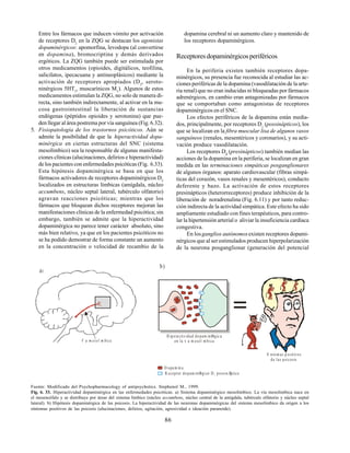 86
Entre los fármacos que inducen vómito por activación
de receptores D2
en la ZQG se destacan los agonistas
dopaminérgicos: apomorfina, levodopa (al convertirse
en dopamina), bromocriptina y demás derivados
ergóticos. La ZQG también puede ser estimulada por
otros medicamentos (opioides, digitálicos, teofilina,
salicilatos, ipecacuana y antineoplásicos) mediante la
activación de receptores apropiados (D2
, seroto-
ninérgicos 5HT3
, muscarínicos M1
). Algunos de estos
medicamentos estimulan la ZQG, no solo de manera di-
recta, sino también indirectamente, al activar en la mu-
cosa gastrointestinal la liberación de sustancias
endógenas (péptidos opioides y serotonina) que pue-
den llegar al área postrema por vía sanguínea (Fig. 6.32).
5. Fisiopatología de los trastornos psicóticos. Aún se
admite la posibilidad de que la hiperactividad dopa-
minérgica en ciertas estructuras del SNC (sistema
mesolímbico) sea la responsable de algunas manifesta-
ciones clínicas (alucinaciones, delirios e hiperactividad)
de los pacientes con enfermedades psicóticas (Fig. 6.33).
Esta hipótesis dopaminérgica se basa en que los
fármacos activadores de receptores dopaminérgicos D2
localizados en estructuras límbicas (amígdala, núcleo
accumbens, núcleo septal lateral, tubérculo olfatorio)
agravan reacciones psicóticas; mientras que los
fármacos que bloquean dichos receptores mejoran las
manifestaciones clínicas de la enfermedad psicótica; sin
embargo, también se admite que la hiperactividad
dopaminérgica no parece tener carácter absoluto, sino
más bien relativo, ya que en los pacientes psicóticos no
se ha podido demostrar de forma constante un aumento
en la concentración o velocidad de recambio de la
dopamina cerebral ni un aumento claro y mantenido de
los receptores dopaminérgicos.
Receptoresdopaminérgicosperiféricos
En la periferia existen también receptores dopa-
minérgicos, su presencia fue reconocida al estudiar las ac-
ciones periféricas de la dopamina (vasodilatación de la arte-
ria renal) que no eran inducidas ni bloqueadas por fármacos
adrenérgicos, en cambio eran antagonizadas por fármacos
que se comportaban como antagonistas de receptores
dopaminérgicos en el SNC.
Los efectos periféricos de la dopamina están media-
dos, principalmente, por receptores D1
(possinápticos), los
que se localizan en la fibra muscular lisa de algunos vasos
sanguíneos (renales, mesentéricos y coronarios), y su acti-
vación produce vasodilatación.
Los receptores D2
(presinápticos) también median las
acciones de la dopamina en la periferia, se localizan en gran
medida en las terminaciones simpáticas posganglionares
de algunos órganos: aparato cardiovascular (fibras simpá-
ticas del corazón, vasos renales y mesentéricos), conducto
deferente y bazo. La activación de estos receptores
presinápticos (heterorreceptores) produce inhibición de la
liberación de noradrenalina (Fig. 6.11) y por tanto reduc-
ción indirecta de la actividad simpática. Este efecto ha sido
ampliamente estudiado con fines terapéuticos, para contro-
lar la hipertensión arterial o aliviar la insuficiencia cardíaca
congestiva.
En losganglios autónomosexisten receptores dopami-
nérgicos que al ser estimulados producen hiperpolarización
de la neurona posganglionar (generación del potencial
V a m esol m bica
a)
b)
H ipera ctividad dopam inØrgic a
en la v a m esol m bica
S ntom as p ositivos
de las psicosis
D opa m in a
R eceptor dopam inØrgico D possinÆ
ptico
2
Fuente: Modificado del Psychopharmacology of antipsychotics. Stephenol M., 1999.
Fig. 6. 33. Hiperactividad dopaminérgica en las enfermedades psicóticas. a) Sistema dopaminérgico mesolímbico. La vía mesolímbica nace en
el mesencéfalo y se distribuye por áreas del sistema límbico (núcleo accumbens, núcleo central de la amígdala, tubérculo olfatorio y núcleo septal
lateral). b) Hipótesis dopaminérgica de las psicosis. La hiperactividad de las neuronas dopaminérgicas del sistema mesolímbico da origen a los
síntomas positivos de las psicosis (alucinaciones, delirios, agitación, agresividad e ideación paranoide).
 