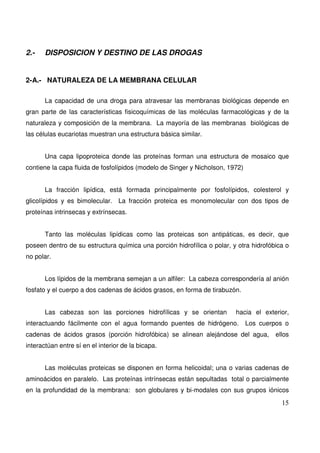 15
2.- DISPOSICION Y DESTINO DE LAS DROGAS
2-A.- NATURALEZA DE LA MEMBRANA CELULAR
La capacidad de una droga para atravesar las membranas biológicas depende en
gran parte de las características fisicoquímicas de las moléculas farmacológicas y de la
naturaleza y composición de la membrana. La mayoría de las membranas biológicas de
las células eucariotas muestran una estructura básica similar.
Una capa lipoproteica donde las proteínas forman una estructura de mosaico que
contiene la capa fluida de fosfolípidos (modelo de Singer y Nicholson, 1972)
La fracción lipídica, está formada principalmente por fosfolípidos, colesterol y
glicolípidos y es bimolecular. La fracción proteica es monomolecular con dos tipos de
proteínas intrinsecas y extrínsecas.
Tanto las moléculas lipídicas como las proteicas son antipáticas, es decir, que
poseen dentro de su estructura química una porción hidrofílica o polar, y otra hidrofóbica o
no polar.
Los lípidos de la membrana semejan a un alfiler: La cabeza correspondería al anión
fosfato y el cuerpo a dos cadenas de ácidos grasos, en forma de tirabuzón.
Las cabezas son las porciones hidrofílicas y se orientan hacia el exterior,
interactuando fácilmente con el agua formando puentes de hidrógeno. Los cuerpos o
cadenas de ácidos grasos (porción hidrofóbica) se alinean alejándose del agua, ellos
interactúan entre sí en el interior de la bicapa.
Las moléculas proteicas se disponen en forma helicoidal; una o varias cadenas de
aminoácidos en paralelo. Las proteínas intrínsecas están sepultadas total o parcialmente
en la profundidad de la membrana: son globulares y bi-modales con sus grupos iónicos
 
