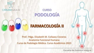 Prof.: Pdga. Elizabeth M. Collazos Cisneros
Anatomía Funcional Humana
Curso de Podología Médica. Curso Académico 2023
CURSO
PODOLOGÍA
 