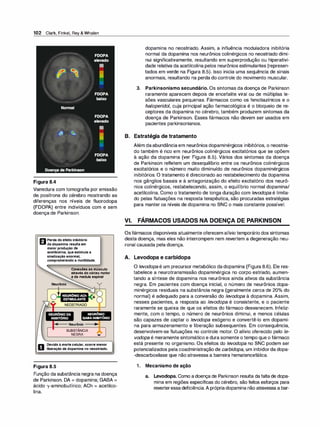 102 Clark, Finkel, Rey & Whalen
Figura 8.4
Varredura com tomografia por emissão
de posítrons do cérebro mostrando as
diferenças nos níveis de fluorodopa
(FDOPA) entre indivíduos com e sem
doença de Parkinson.
1'!"11 Perda do efeito inibitório
U da dopamina resulta em
maior produção de
acetilcolina, que estimula a
sinalização anormal,
comprometendo a motilidade.
Conexões ao músculo
através do córtex motor
e da medula espinal
NEURÔNIO
GABA INIBITÓRIO
�
-
- Neurônio -----1)1o�
.�
SUBSTÂNCIA
NEGRA -
O
Devido à morte celular, ocorre menor
liberação de dopamina no neostriado.
Figura 8.5
Função da substância negra na doença
de Parkinson. DA = dopamina; GABA =
ácido 'Y-aminobutírico; ACh = acetilco­
lina.
dopamina no neostriado. Assim, a influência moduladora inibitória
normal da dopamina nos neurônios colinérgicos no neostriado dimi­
nui significativamente, resultando em superprodução ou hiperativi­
dade relativa da acetilcolina pelos neurônios estimulantes (represen­
tados em verde na Figura 8.5). Isso inicia uma sequência de sinais
anormais, resultando na perda do controle do movimento muscular.
3. Parkinsonismo secundário. Os sintomas da doença de Parkinson
raramente aparecem depois de encefalite virai ou de múltiplas le­
sões vasculares pequenas. Fármacos como os fenotiazínicos e o
haloperido/, cuja principal ação farmacológica é o bloqueio de re­
ceptores da dopamina no cérebro, também produzem sintomas da
doença de Parkinson. Esses fármacos não devem ser usados em
pacientes parkinsonianos.
B. Estratégia de tratamento
VI.
Além daabundância em neurônios dopaminérgicos inibitórios, o neostria­
do também é rico em neurônios colinérgicos excitatórios que se opõem
à ação da dopamina (ver Figura 8.5). Vários dos sintomas da doença
de Parkinson refletem um desequilíbrio entre os neurônios colinérgicos
excitatórios e o número muito diminuído de neurônios dopaminérgicos
inibitórios. O tratamento é direcionado ao restabelecimento da dopamina
nos gânglios basais e à antagonização do efeito excitatório dos neurô­
nios colinérgicos, restabelecendo, assim, o equilíbrio normal dopamina/
acetilcolina. Como o tratamento de longa duração com levodopa é limita­
do pelas flutuações na resposta terapêutica, são procuradas estratégias
para manter os níveis de dopamina no SNC o mais constante possível.
FÁRMACOS USADOS NA DOENÇA DE PARKINSON
Osfármacos disponíveis atualmente oferecem alívio temporário dos sintomas
desta doença, mas eles não interrompem nem revertem a degeneração neu­
ronal causada pela doença.
A. Levodopa e carbidopa
O /evodopa é um precursor metabólico da dopamina (Figura 8.6). Ele res­
tabelece a neurotransmissão dopaminérgica no corpo estriado, aumen­
tando a síntese de dopamina nos neurônios ainda ativos da substância
negra. Em pacientes com doença inicial, o número de neurônios dopa­
minérgicos residuais na substância negra (geralmente cerca de 20°
/
o do
normal) é adequado para a conversão do /evodopa à dopamina. Assim,
nesses pacientes, a resposta ao levodopa é consistente, e o paciente
raramente se queixa de que os efeitos do fármaco desvanecem. Infeliz­
mente, com o tempo, o número de neurônios diminui, e menos células
são capazes de captar o levodopa exógeno e convertê-lo em dopami­
na para armazenamento e liberação subsequentes. Em consequência,
desenvolvem-se flutuações no controle motor. O alívio oferecido pelo /e­
vodopa é meramente sintomático e dura somente o tempo que o fármaco
está presente no organismo. Os efeitos do /evodopa no SNC podem ser
potencializados pela coadministração de carbidopa, um inibidorda dopa­
-descarboxilase que não atravessa a barreira hematencefálica.
1 . Mecanismo de ação
a. Levodopa. Como adoença de Parkinson resulta da faltade dopa­
mina em regiões específicas do cérebro, são feitos esforços para
reverteressadeficiência.A própriadopamina não atravessa a bar-
 