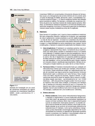 140 Clark, Finkel, Rey & Whalen
a Sem anestésico
o
GABA
+ +
Aligação do GABAcausa
abertura do canal de íons
cloreto, levando à
hiperpolarização da célula.
.-1 + +
/
' 1
y· - -
c1+
ft Na presença de anestésico
lill inalatório
Aligação do GABAé
aumentada pelo anestésico
inalatório, resultando em
maior entrada de íons cloreto.
�
�-
GABA
+ + + + + +
Aentrada de CI- hiperpolariza
a célula, tornando mais difícil
a despolarização e, assim,
reduzindo a excitabilidade neural.
Figura 1 1 .7
Exemplo de modulação em um canal
de membrana estimulado por ligante
modulado por anestésicos inalatórios.
GABA = ácido -y-aminobutírico; CI- =
íons cloreto.
transmissor GABA em concentrações clinicamente eficazes do fármaco.
Isso causa um prolongamento da corrente inibitória de íons cloreto após
um pulso de liberação de GABA, diminuindo, assim, a excitabilidade neu­
ronal pós-sináptica (Figura 1 1 .7). Outros receptores também são afetados
pelos anestésicos voláteis. Por exemplo, a atividade dos receptores inibi­
tórios de glicina nos neurônios motores da medula espinal aumenta. Além
disso, os anestésicos inalatórios bloqueiam a corrente pós-sináptica exci­
tatória dos receptores nicotínicos. O mecanismo pelo qual os anestésicos
realizam essas funções moduladoras ainda não foi explicado.
E. Halotano
Esse fármaco é o protótipo com o qual os novos anestésicos inalatórios
têm sido comparados. Quando o halotano foi introduzido, sua capacidade
de induzir rapidamente o estado anestésico e permitir rápida recuperação
-e o fato de não ser explosivo-tornaram-no o anestésico de primeira es­
colha. No entanto, com o reconhecimento dos efeitos adversos discutidos
a seguir e a disponibilidade de outros anestésicos que causam menos
complicações, o halotanofoi amplamentesubstituído nos Estados Unidos.
1. Usos terapêuticos. O halotano é um anestésico potente, mas é um
analgésico relativamente fraco. Assim, normalmente ele é coadminis-
,
trado com óxido nitroso, opioides ou anestésicos locais. E um potente
broncodilatador. O halotano relaxa os músculos esqueléticos e uterino
e pode serutilizado em obstetríciaquando há indicaçãode relaxamen­
to uterino. Ele não é hepatotóxico em pacientes pediátricos (apesar
do efeito potencial em adultos, vera seguir), fato que, combinado com
seu odor agradável, o torna uma boa escolha para indução inalatória
em crianças, embora o sevof/urano seja atualmente o fármaco de es­
colha para a indução inalatória, se o custo nãofor um fator limitante.
2. Farmacocinética. O halotano é biotransformado por oxidação em
hidrocarbonetos tóxicos aos tecidos (por exemplo, trifluoretanol) e
íon brometo. Essas substâncias podem ser responsáveis pela rea­
ção de toxicidade que alguns pacientes (especialmente mulheres)
desenvolvem após a anestesia com esse fármaco. Essa reação
inicia com febre, seguida de anorexia, náusea e êmese, e o pa­
ciente pode demonstrar sinais de hepatite. (Nota: embora a incidên­
cia dessa reação seja baixa - aproximadamente de 1 em 10.000
indivíduos -, 50°
/
o dos pacientes atingidos podem morrer por necro­
se hepática. Para evitar essa condição, a anestesia com halotano
não é repetida em intervalos menores do que 2 a 3 semanas. Foi
descrito que todos os anestésicos inalatórios halogenados causam
hepatite, mas em uma incidência muito menordo que com halotano.
Por exemplo, o isof/uranotem uma incidência de 1 :500.000.)
3. Efeitos adversos
a. Efeitos cardíacos. Como outros hidrocarbonetos halogenados,
o halotano é vagomimético e causa bradicardia atropina-sen­
sível. Além disso, ele apresenta a propriedade indesejável de
causar arritmias cardíacas. (Nota: isso é especialmente grave
quando se desenvolve hipercapnia [aumento na pressão par­
cial arterial de dióxido de carbono] devido à diminuição da ven­
tilação alveolar ou ao aumento da concentração plasmática de
catecolaminas.) O halotano, como outros anestésicos haloge­
nados, produz hipotensão concentração-dependente. Se houver
necessidade de combater um episódio de hipotensão excessiva
durante a anestesia com halotano, é recomendado utilizar um
vasoconstritor de ação direta, como a fenilefrina.
 